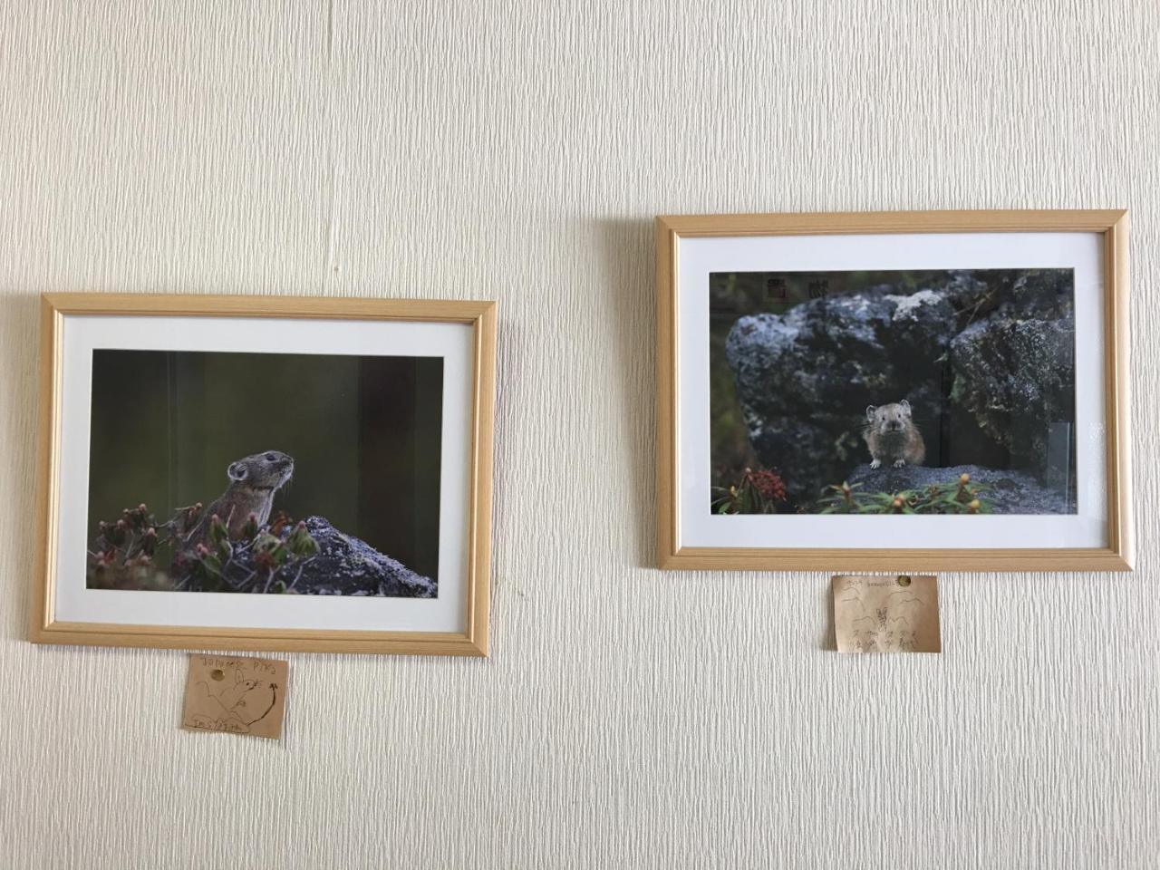 Biei Shirogane No Yu Hotel Kültér fotó
